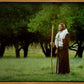 Lord Of The Vineyard