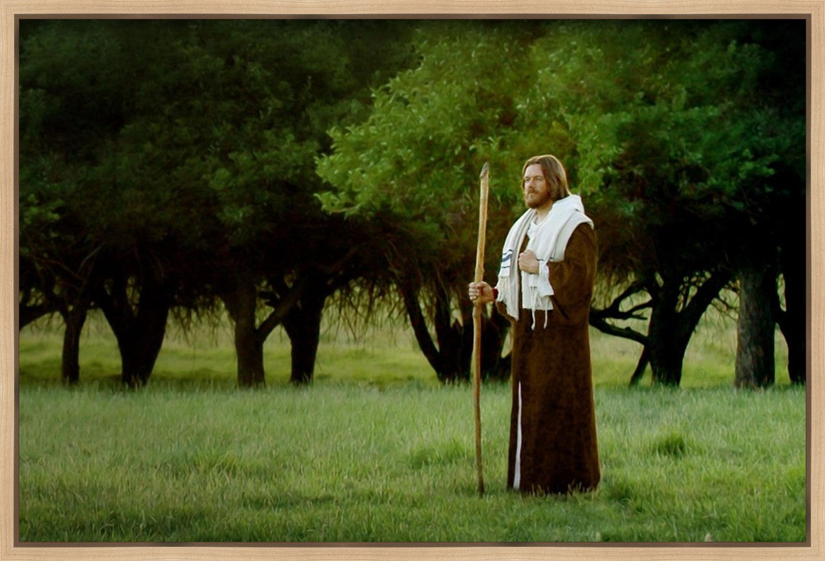 Lord Of The Vineyard Gallery Wrap