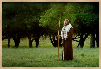 Lord Of The Vineyard