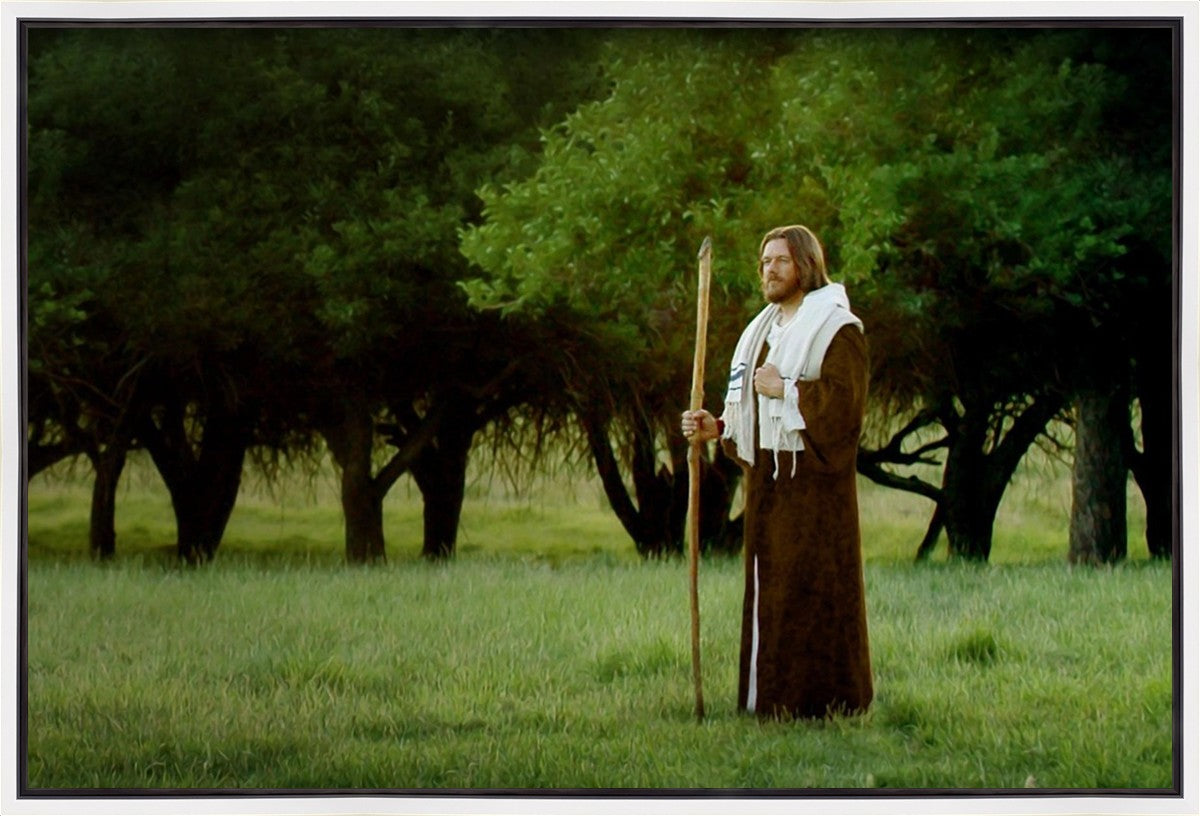 Lord Of The Vineyard Gallery Wrap