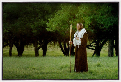 Lord Of The Vineyard