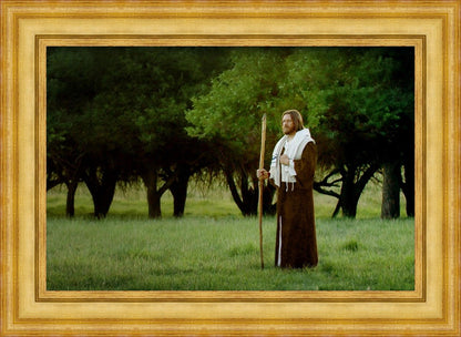 Lord Of The Vineyard