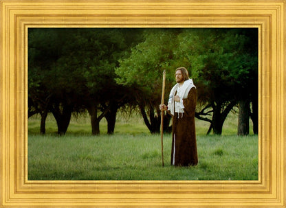 Lord Of The Vineyard