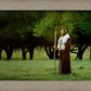 Lord Of The Vineyard
