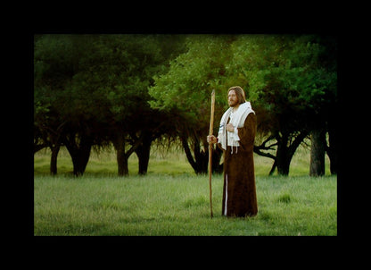 Lord Of The Vineyard