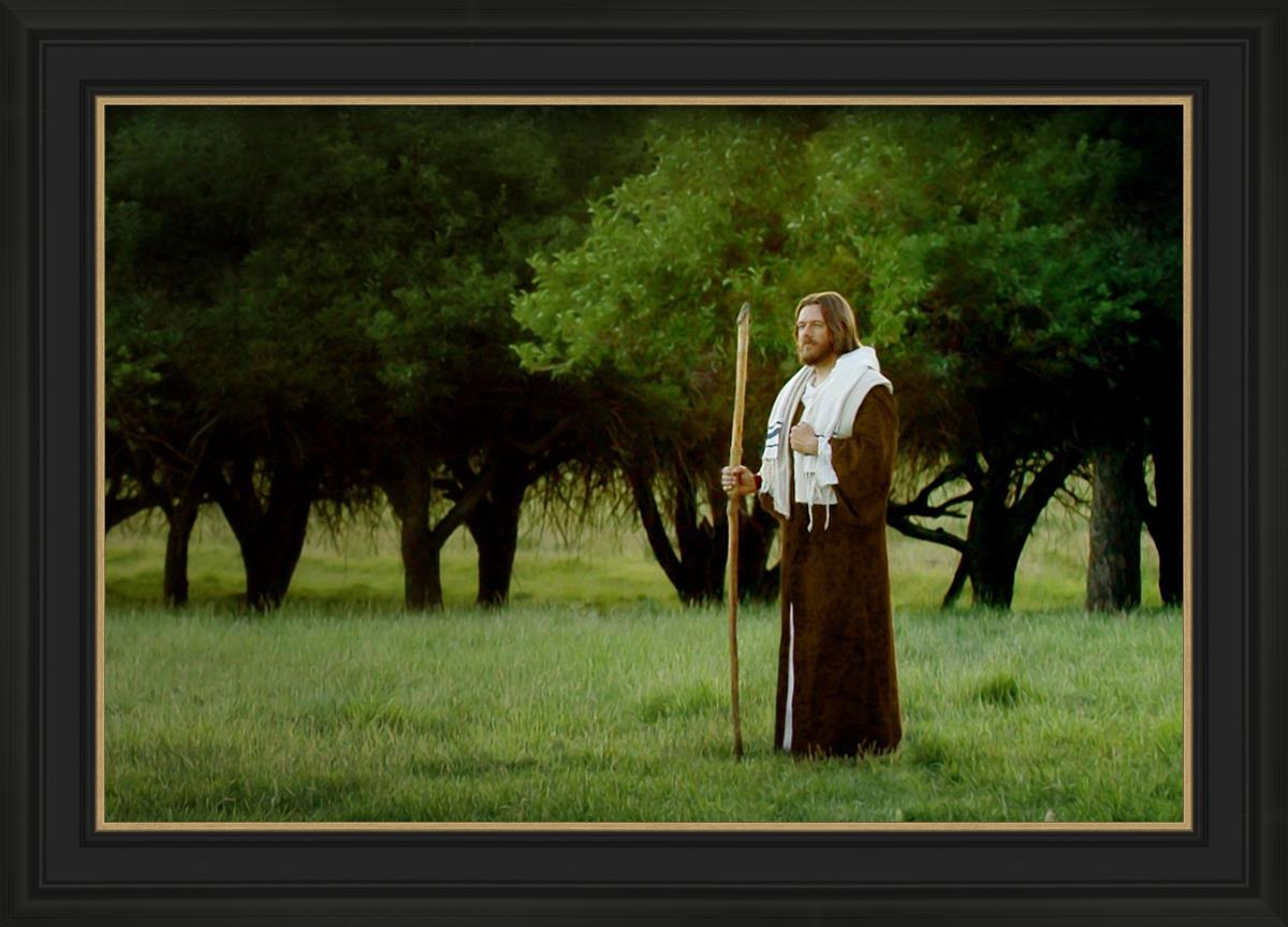 Lord Of The Vineyard