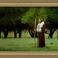 Lord Of The Vineyard
