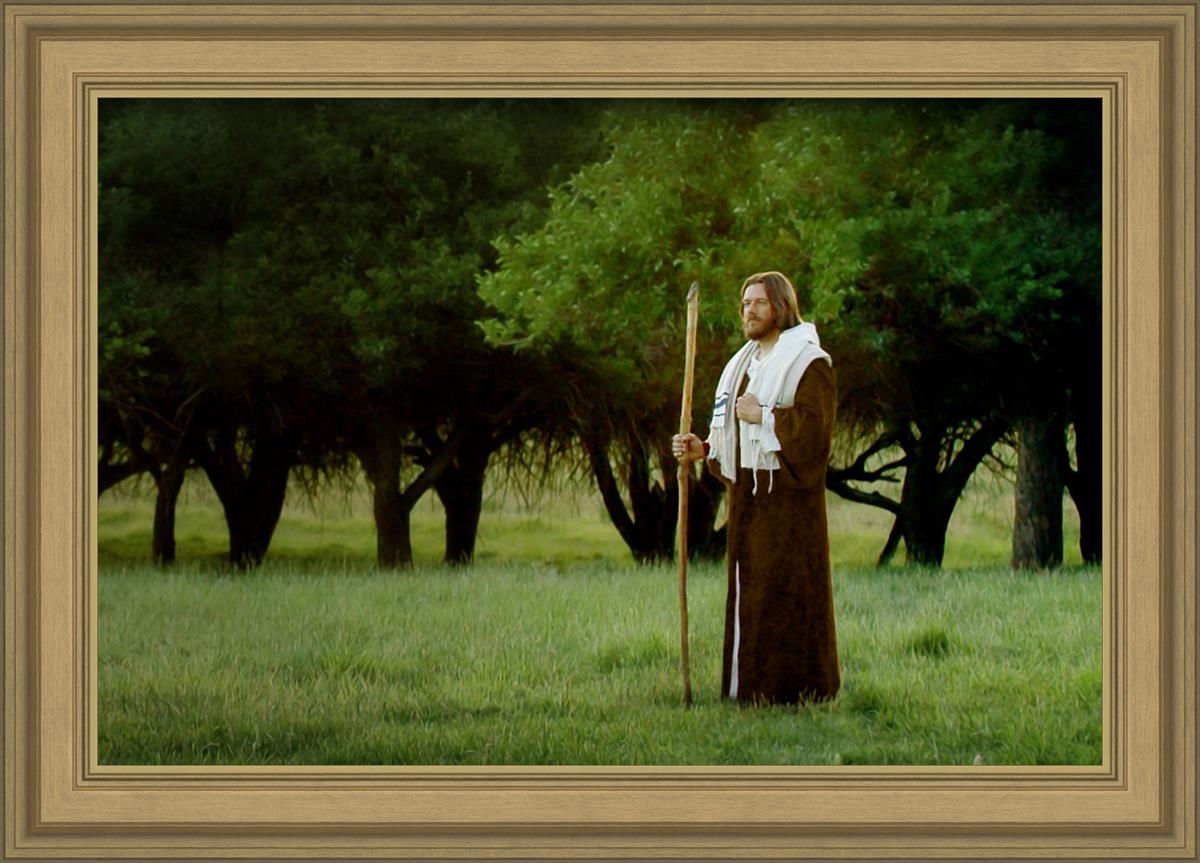 Lord Of The Vineyard