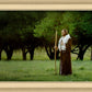 Lord Of The Vineyard