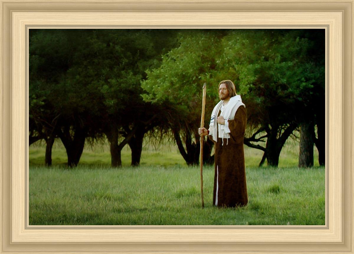 Lord Of The Vineyard