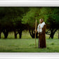 Lord Of The Vineyard