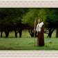 Lord Of The Vineyard