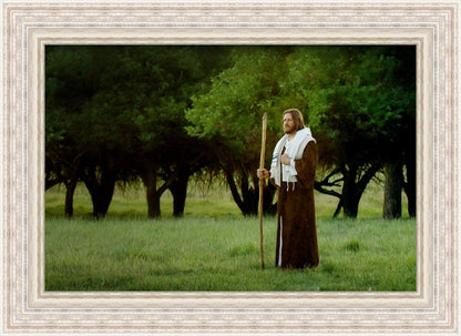 Lord Of The Vineyard