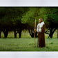 Lord Of The Vineyard