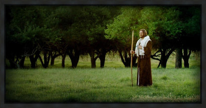 Lord Of The Vineyard