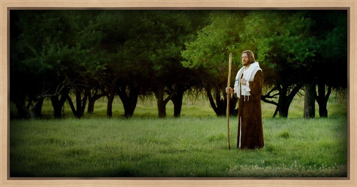 Lord Of The Vineyard Gallery Wrap