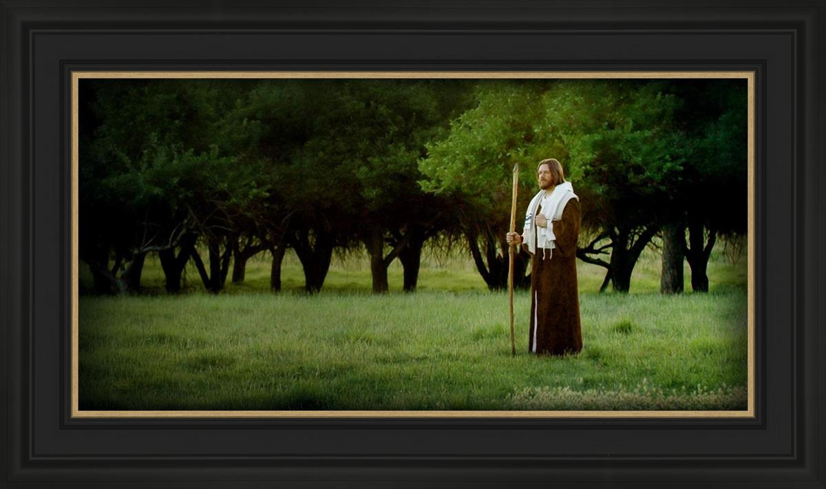 Lord Of The Vineyard