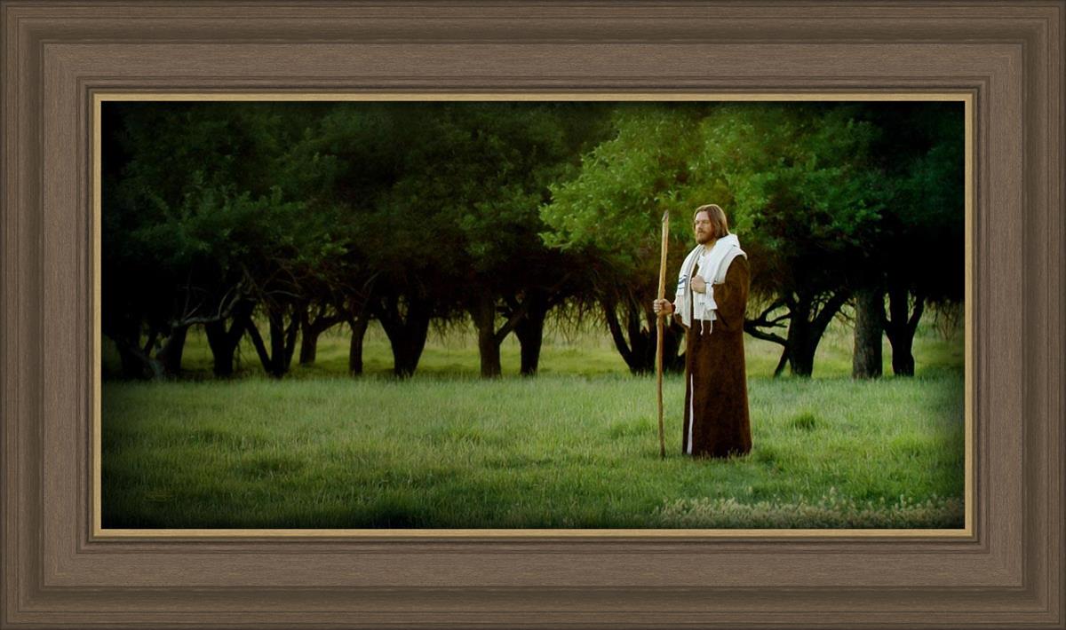 Lord Of The Vineyard