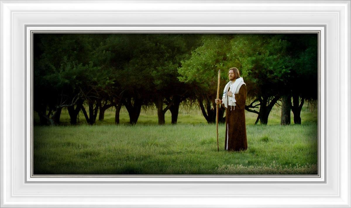 Lord Of The Vineyard