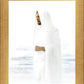 Peace in Christ