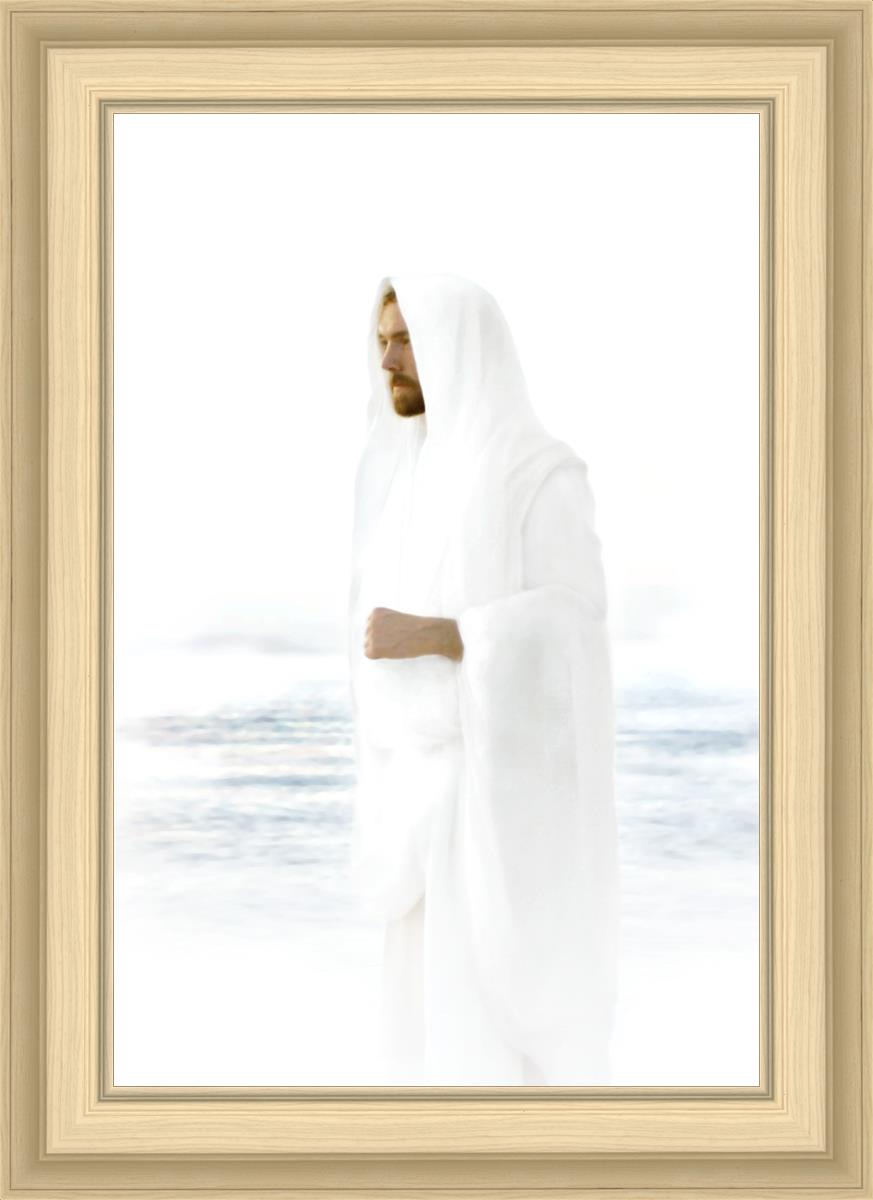 Peace in Christ