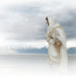 The Bridegroom Cometh