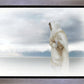 The Bridegroom Cometh
