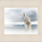 The Bridegroom Cometh