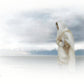 The Bridegroom Cometh