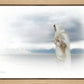 The Bridegroom Cometh
