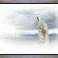 The Bridegroom Cometh