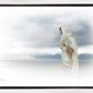 The Bridegroom Cometh