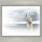 The Bridegroom Cometh