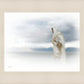 The Bridegroom Cometh