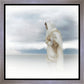 The Bridegroom Cometh