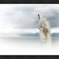 The Bridegroom Cometh