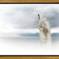 The Bridegroom Cometh