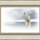 The Bridegroom Cometh