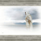 The Bridegroom Cometh