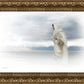 The Bridegroom Cometh