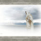 The Bridegroom Cometh