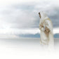 The Bridegroom Cometh