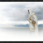 The Bridegroom Cometh