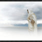 The Bridegroom Cometh