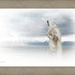The Bridegroom Cometh