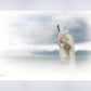 The Bridegroom Cometh