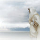 The Bridegroom Cometh
