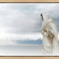 The Bridegroom Cometh