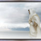 The Bridegroom Cometh