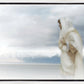 The Bridegroom Cometh